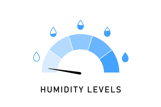 Understanding Humidity: What Relative Humidity Really Means