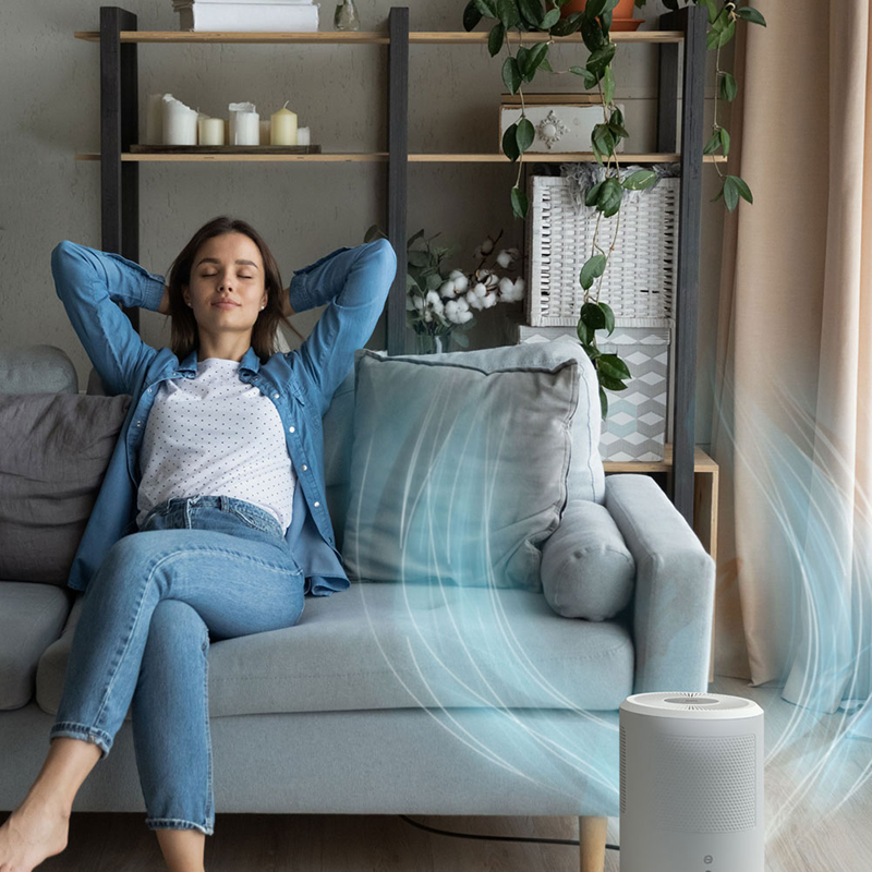 Electric Dehumidifiers