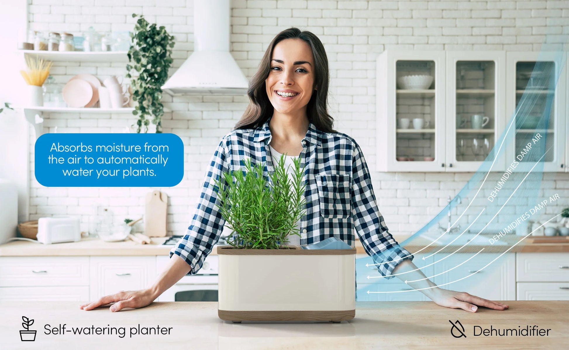 plants that pull moisture from air Dewplanter by Eva-Dry