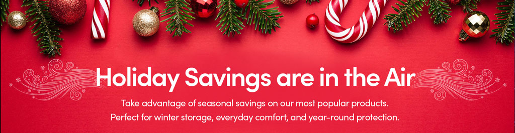 HolidaySavingsIntheAir